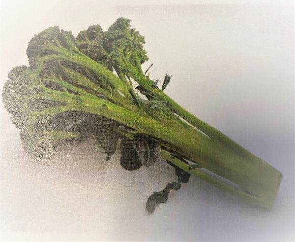 BROCCOLI STEM - HIRZIA F1