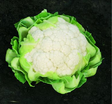 Cauliflowers