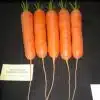 Carrot Sweet Candle