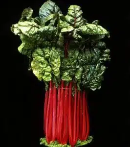 Rhubarb Chard