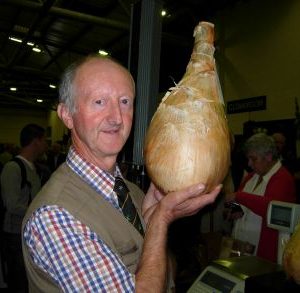 Premium Giant Peter Glazebrook Onion Plants