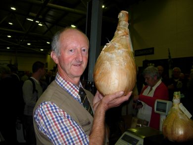 Premium Giant Peter Glazebrook Onion Plants