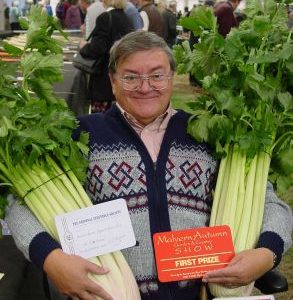 Evening Star Celery F1 (Exclusive to Medwyns) from an EARLY MARCH sowing.