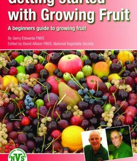 Getting started with Fruit