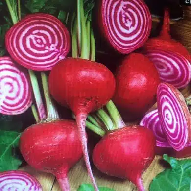 Chioggia Beetroot