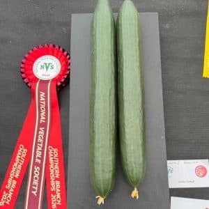 Batallon F1 Cucumber