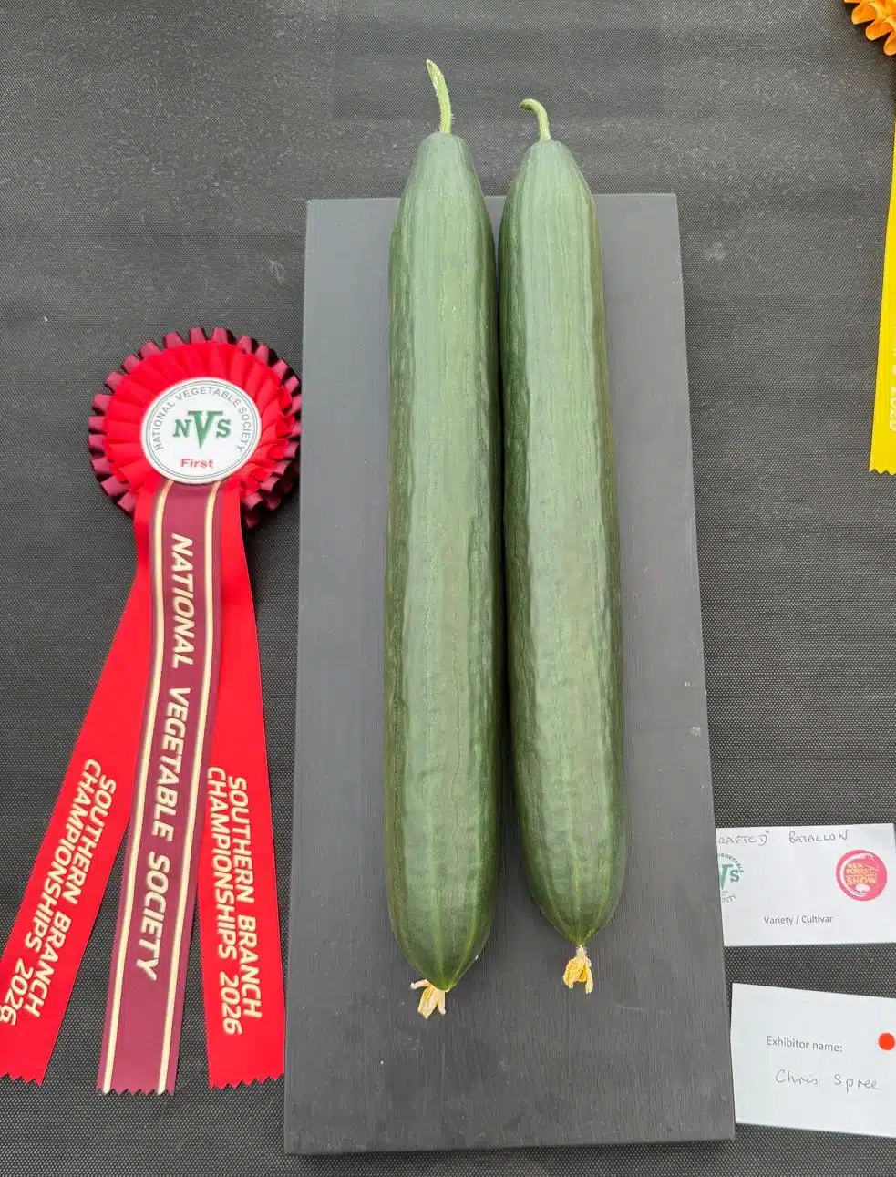 Batallon F1 Cucumber