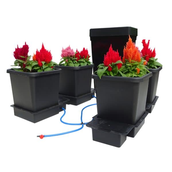 4 Pot System - Image 15