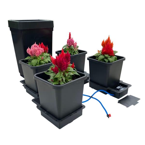 4 Pot System - Image 14