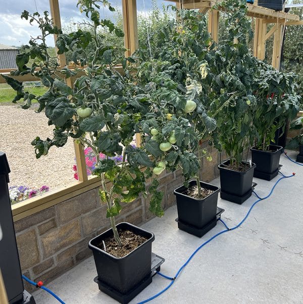 4 Pot System - Image 13