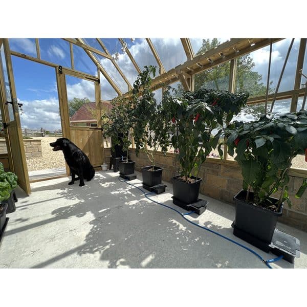 4 Pot System - Image 12