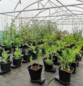 4 Pot System