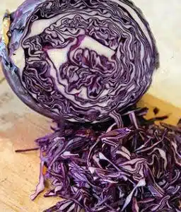 Klimaro F1 Giant Red Cabbage