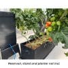AutoPot Tray2Grow system - Image 7