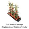 AutoPot Tray2Grow system - Image 13