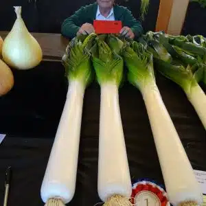 PREMIUM PLANTS BOULSWORTH BLANCH LEEK