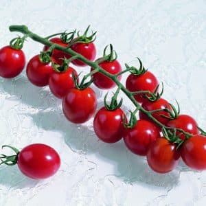 Apero F1 Tomato