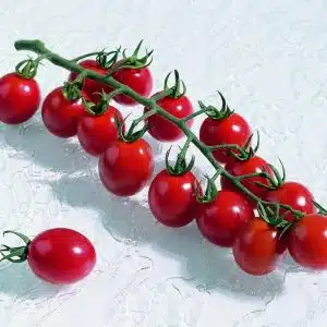 Apero F1 Tomato