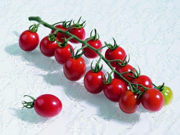 Apero F1 Tomato