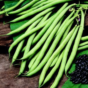 Cobra (Climbing French Bean)