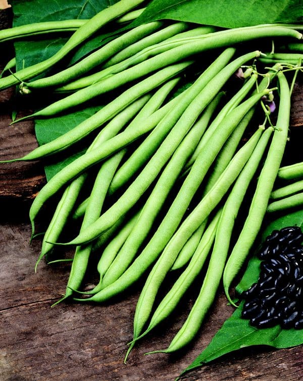 Cobra (Climbing French Bean)