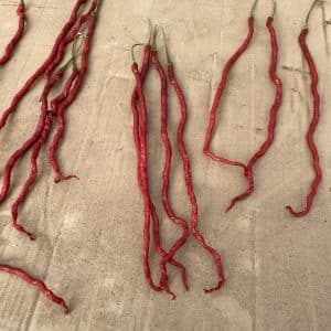 LONG RED CHILI