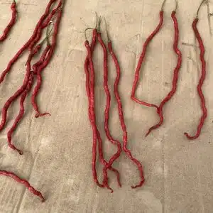 LONG RED CHILI